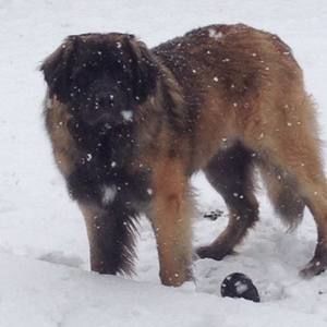 Meet your Posher, Brandi